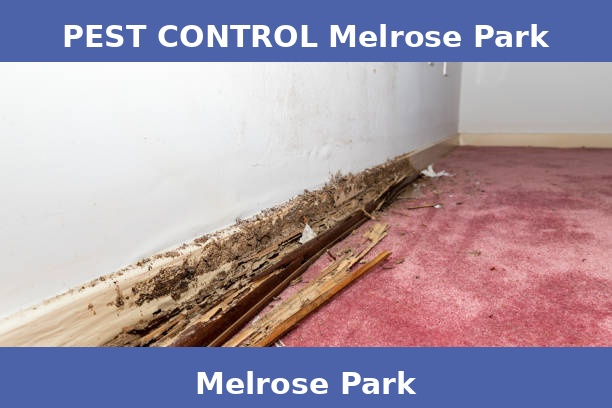 PEST CONTROL Melrose Park